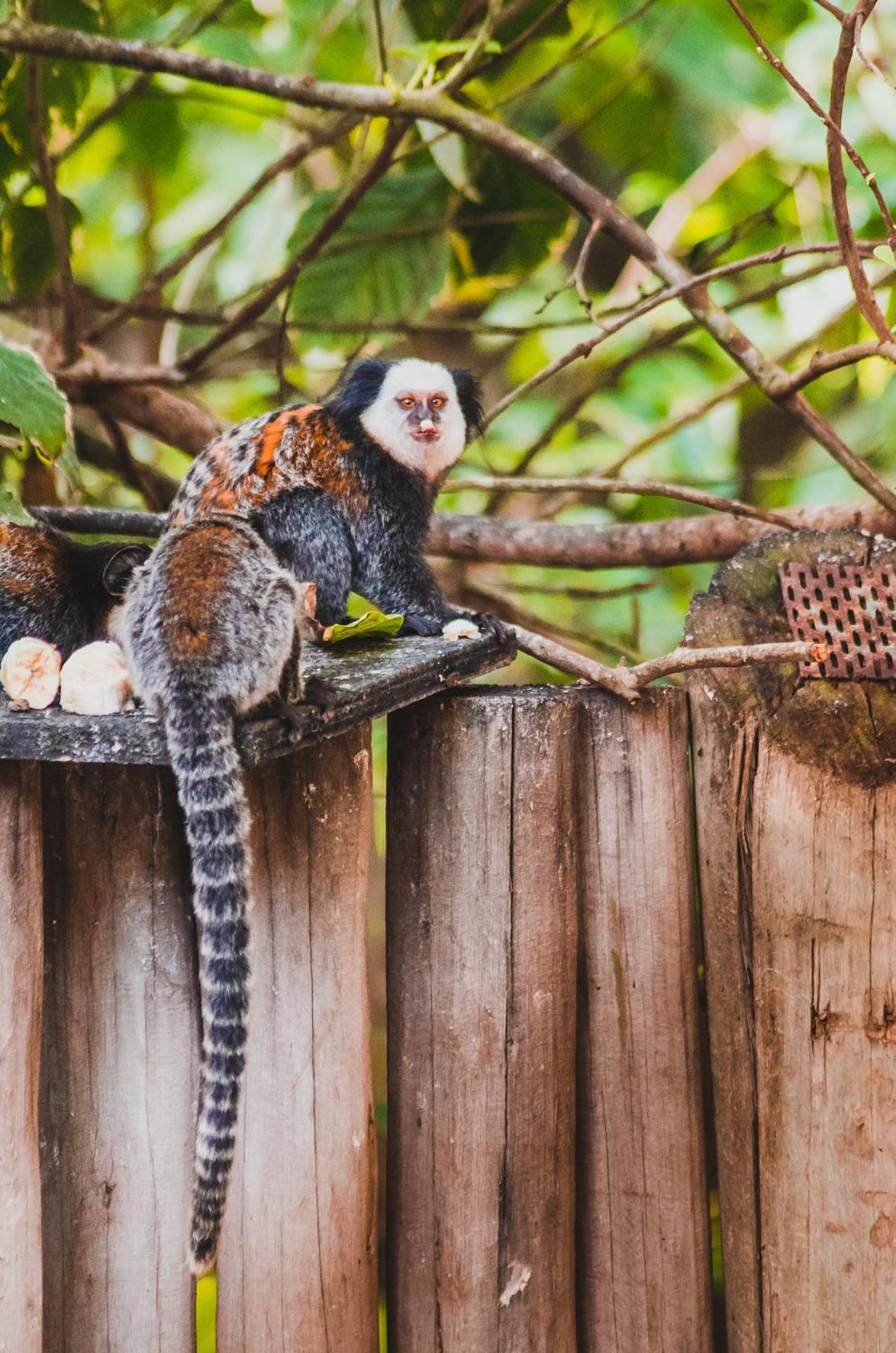 Hotel Boutique Bahia Bonita トランコーゾ エクステリア 写真