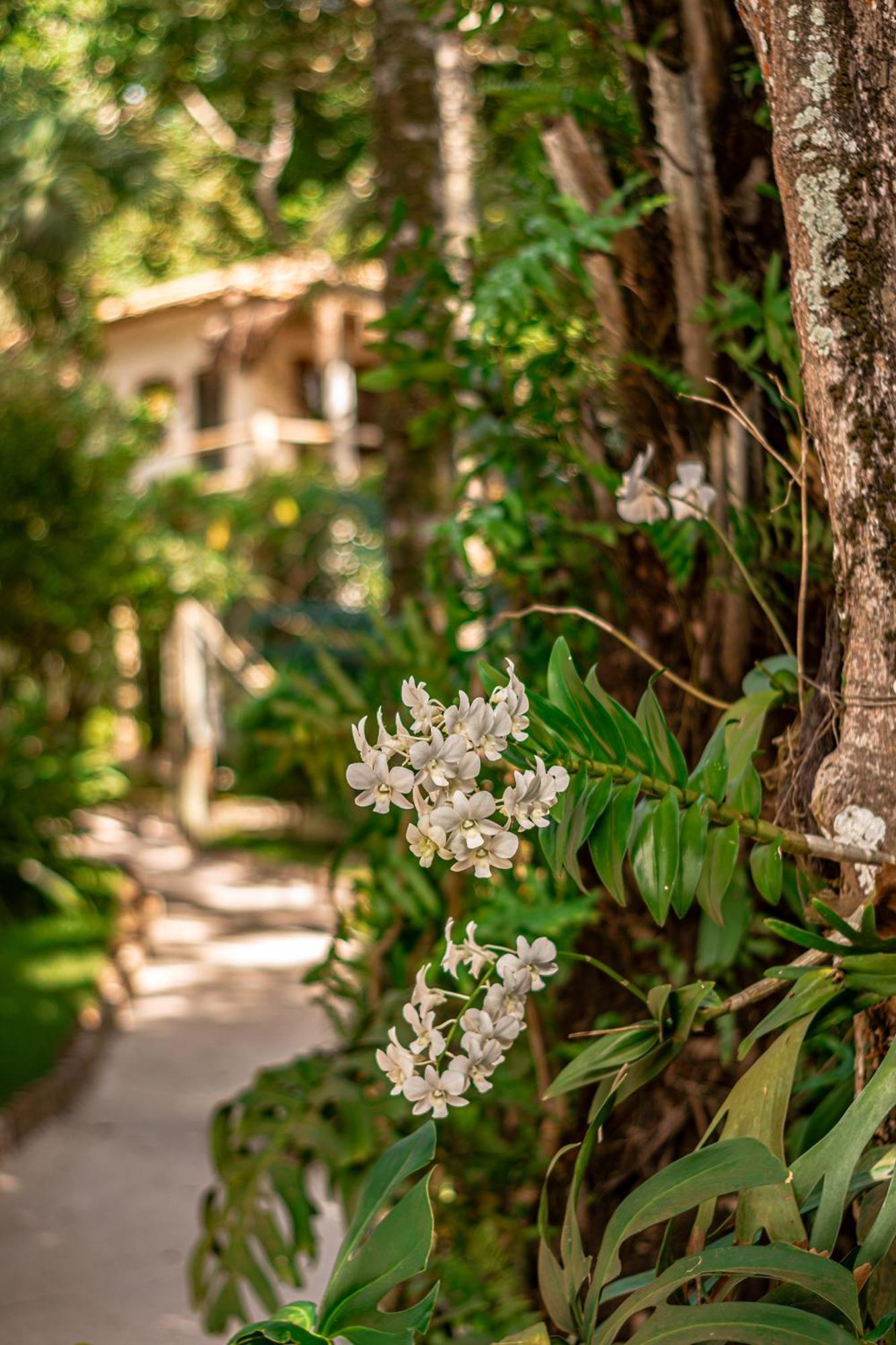 Hotel Boutique Bahia Bonita トランコーゾ エクステリア 写真